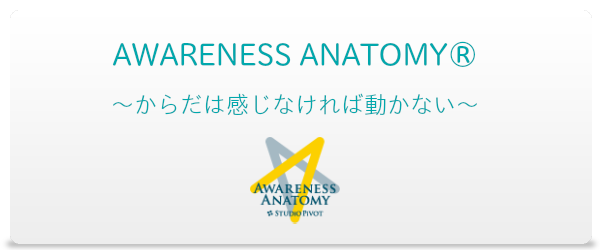 studio pivot,awareness anatomy